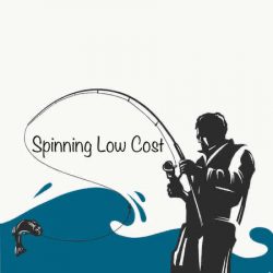 Logo Spinning Low Cost